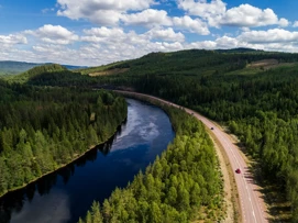 Flod genom skog